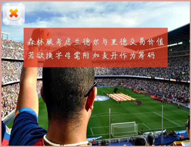 森林狼考虑兰德尔与里德交易价值若欲换字母需附加麦丹作为筹码